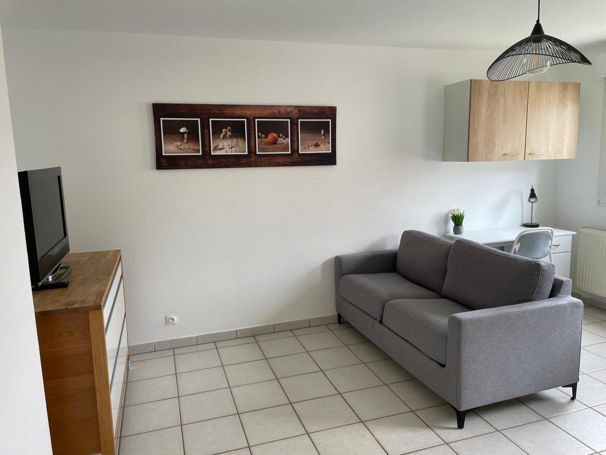 Appartement Studio Calme, Parking, Wifi, Netflix Colmar